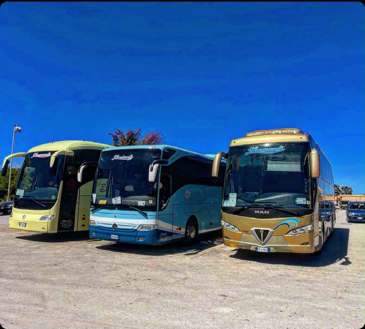 Minibus con conducente